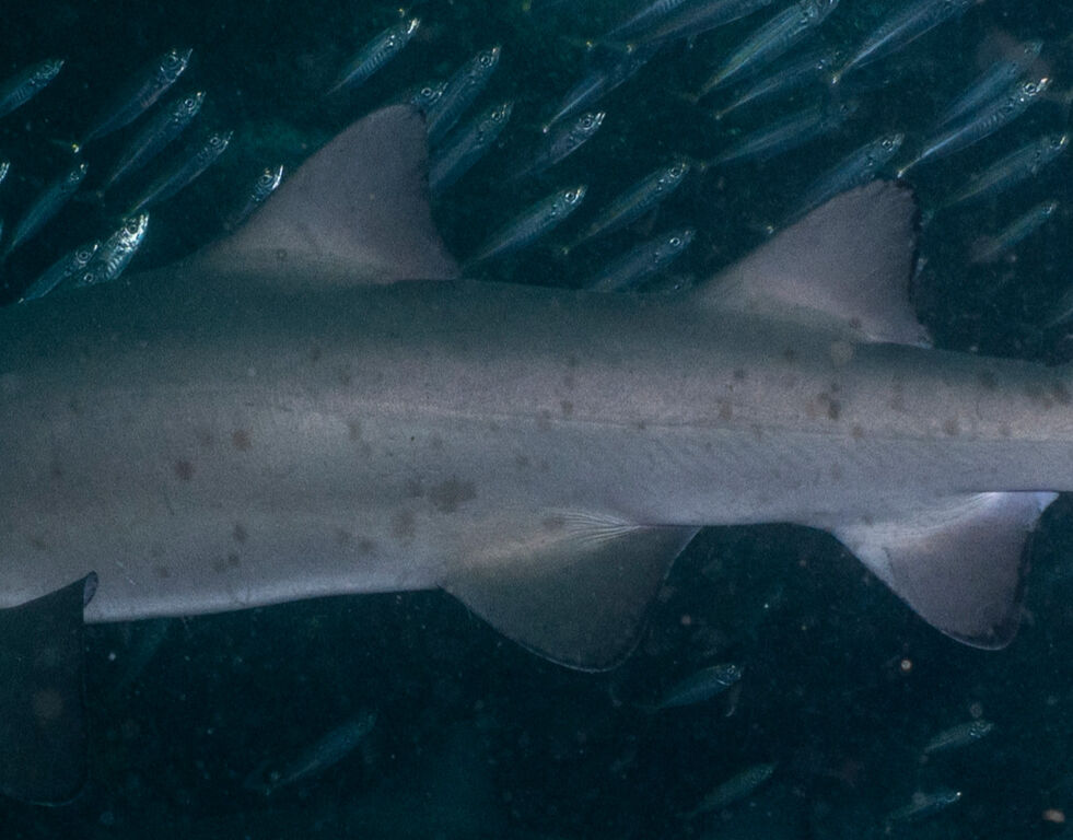 a8d9ea96-2f12-4445-a482-74925eb06fa9