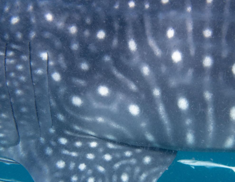 3f22200e-03ff-4870-98f1-df51e2525ce5