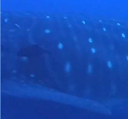 0108a5b6-8a55-41b8-9140-ef186293b10f