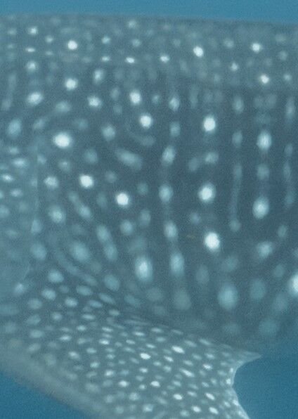 d8aaec8d-94c7-4510-9d10-73c8bebb152f