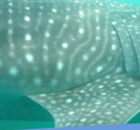 c57cda8f-9a94-4b24-b03a-4e1c16a224d9