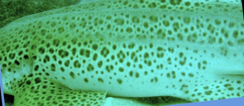 5b591f4f-f1e7-42c0-9621-cef10392b35b