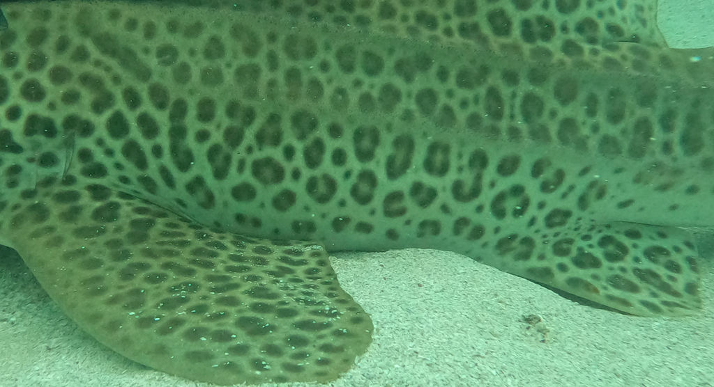 74dbeb57-183a-4738-8090-55175ca3d6e8