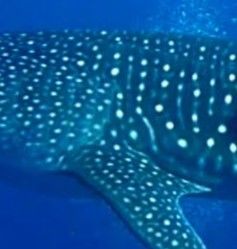 30c79360-a145-4c57-97c7-baf226087cd3