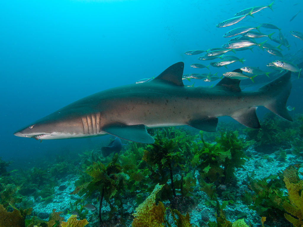 6b173300-0566-4dcd-9607-578a976ad350