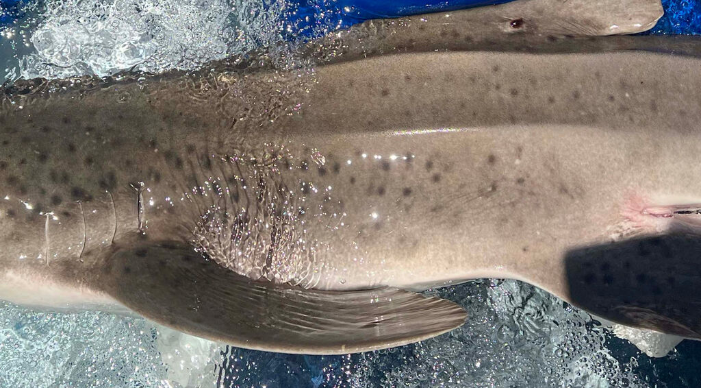 8b3db0aa-32e3-4308-889d-ee8ff9bbf7df