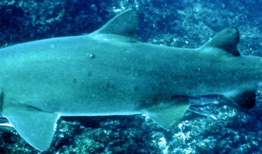 4d6036ea-37ac-465f-95f0-1355a8893b64