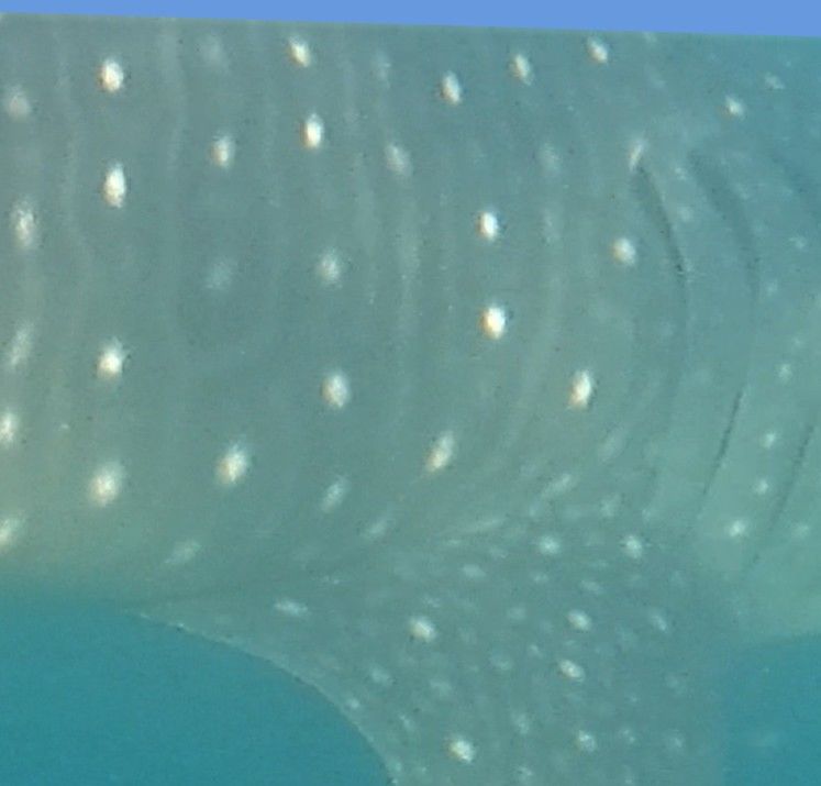 a86f2c13-b6d9-42f6-9797-abadc4dc4a8d