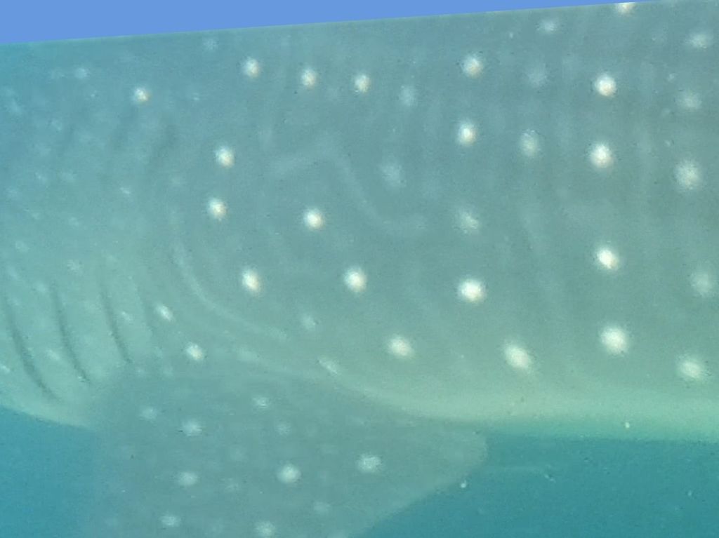 a86f2c13-b6d9-42f6-9797-abadc4dc4a8d