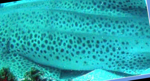 883bbe3c-0817-4ea9-9d56-16ba52d19379