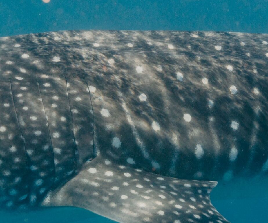 39d3ddf2-8bcc-4c53-887c-8fc1cf802e6b