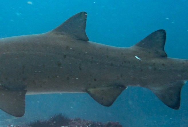 4b1906bc-2684-4c57-b3b5-e54313ae39fc