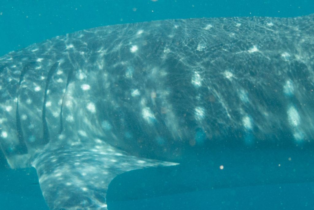 d17f668c-517e-4fc9-844f-cdc15c6a77ce