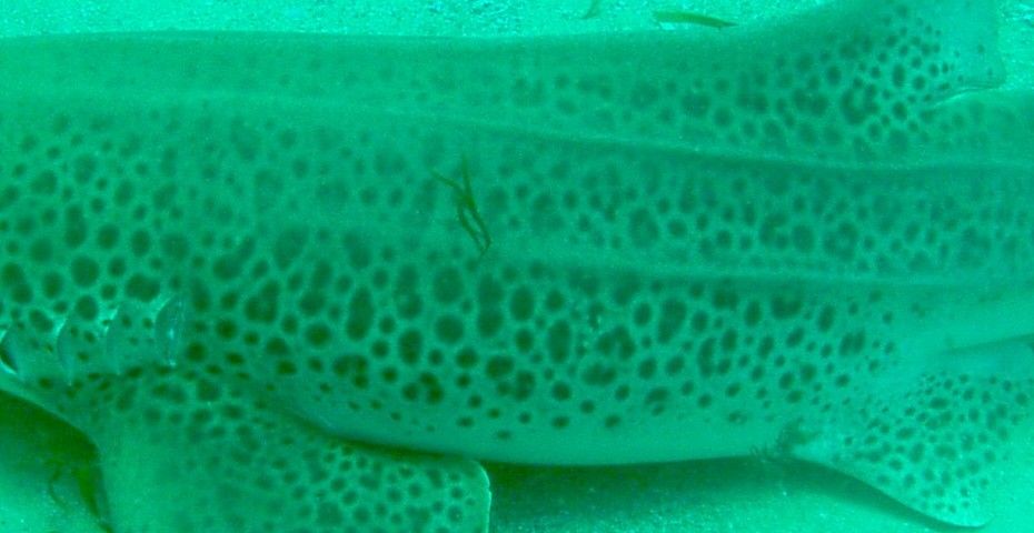 56300723-8867-4d5d-b8f8-b184d2c11565