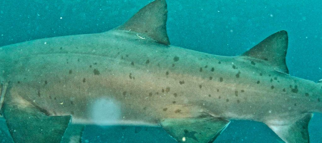 3b988f8e-7d24-4565-9547-70218c600631