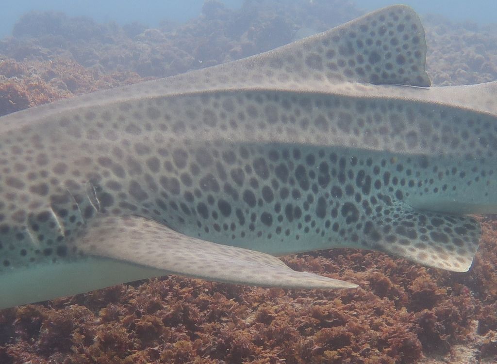 da2a135e-c0a6-4927-a931-50d3dc37df24