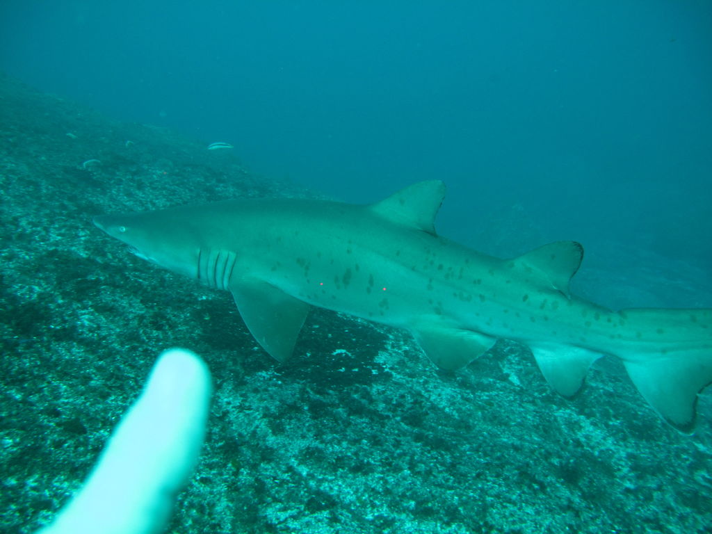 ede06208-a448-4840-84a4-989607785747