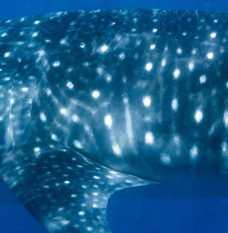 068bd46e-3c30-4565-9942-db9332c46bde