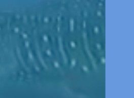 77ce83eb-c8e6-4aaf-8d6a-a5c9da691ebb