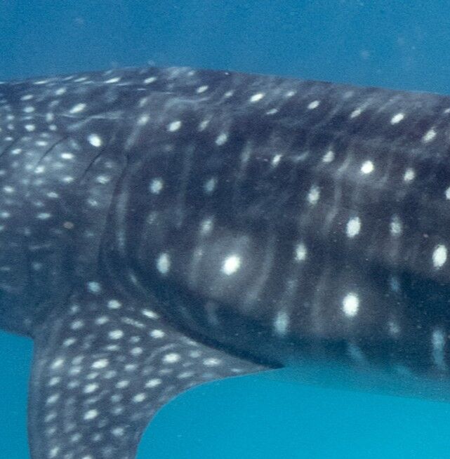 be2c1286-ec0a-4893-a52a-7d64e3d871d4