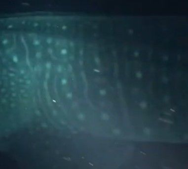 c7fe5ebc-31ac-46ea-9a83-193ba1bca6ba