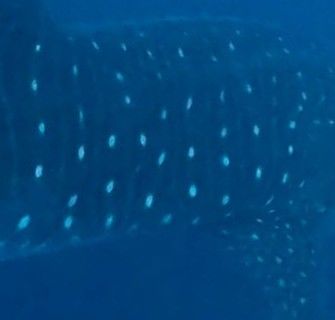 cd6b9fe3-771b-442d-bd7d-c94f8e6cb4df