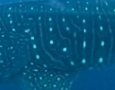 cd6b9fe3-771b-442d-bd7d-c94f8e6cb4df