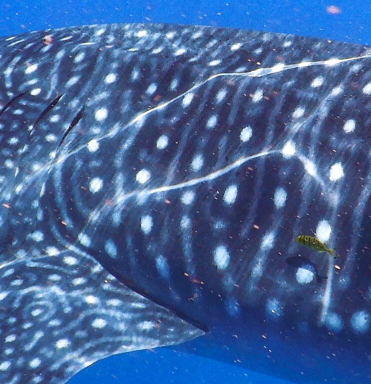 e0550a51-2067-449b-bced-4a040e998ed5