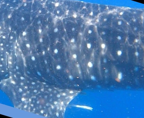 eff23a43-bd8d-4e14-9061-cf5d959a85af