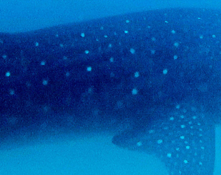 8a4e5351-9c3b-4126-b20f-077ddf0a84f9