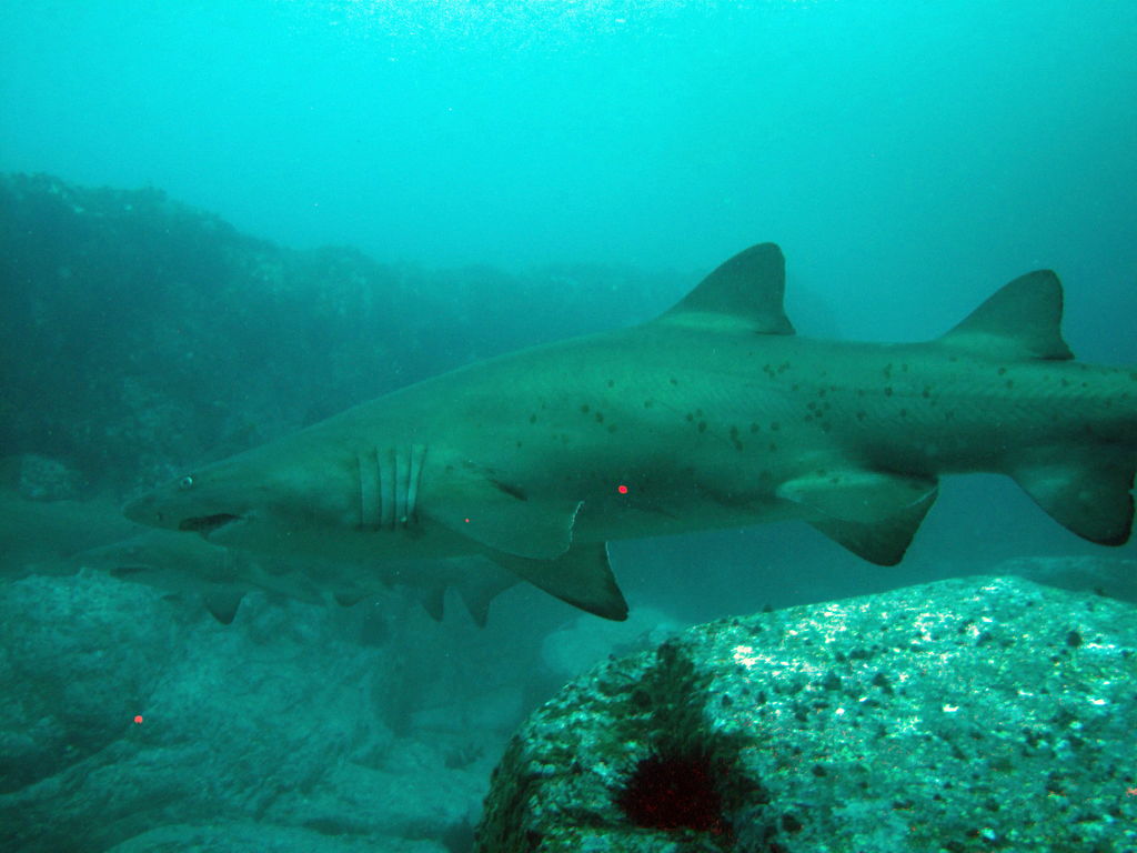 66060efd-1f9f-44ee-bd2a-9c79df5eae23