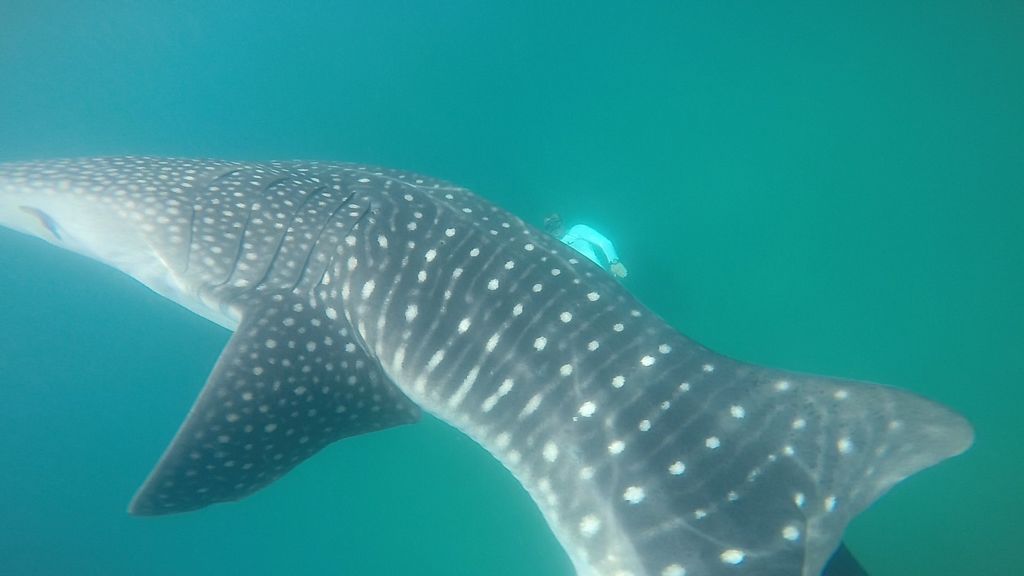 6e9f117e-b445-4362-a62d-74a9e5a842f0