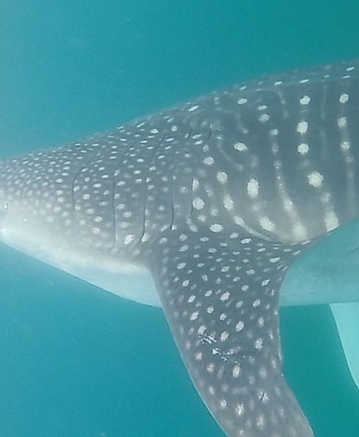 6e9f117e-b445-4362-a62d-74a9e5a842f0