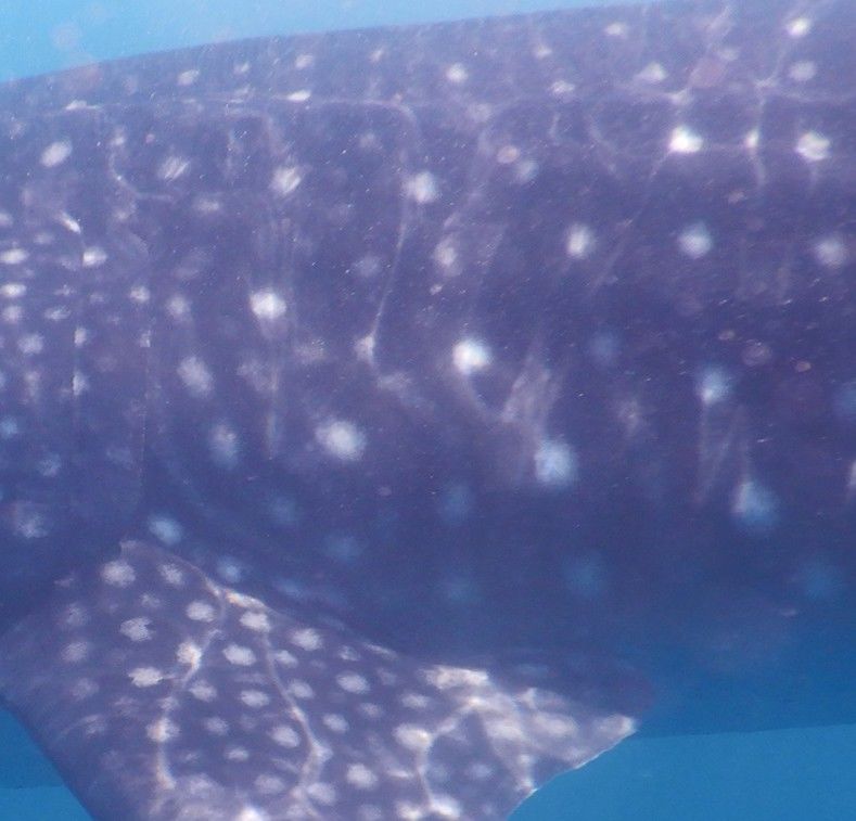 f38dcada-22b7-4af5-a611-1d94f64a6d61