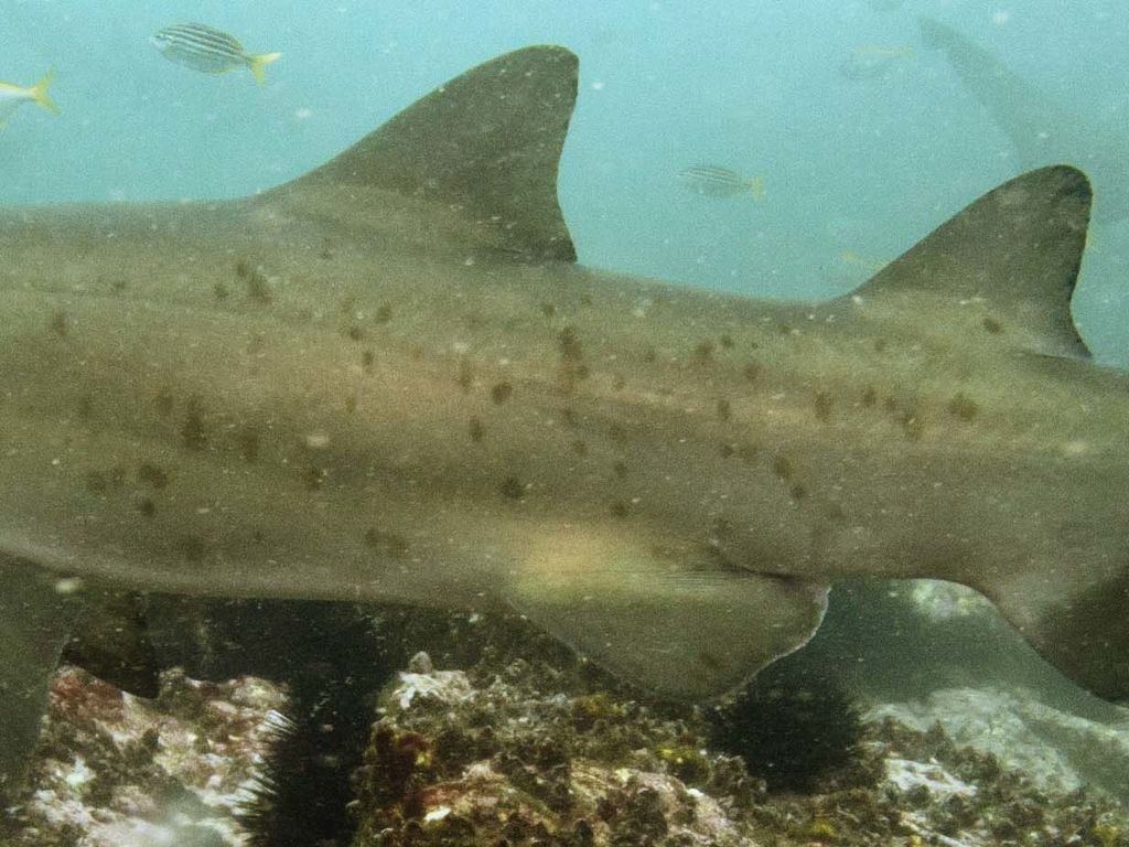 b5916a28-46ae-4531-99b5-33161ed2a7b6