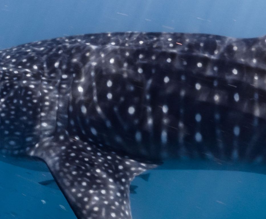 30cafc77-7160-4788-8e5d-eb3e741d1070