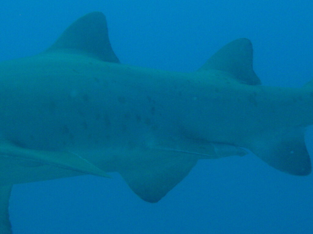 01fe5360-7336-489f-b0ec-995b0d81c322