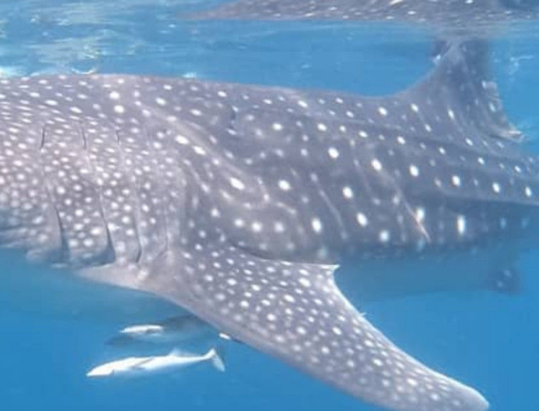 e413696b-7810-495d-acb7-4dff527800a4