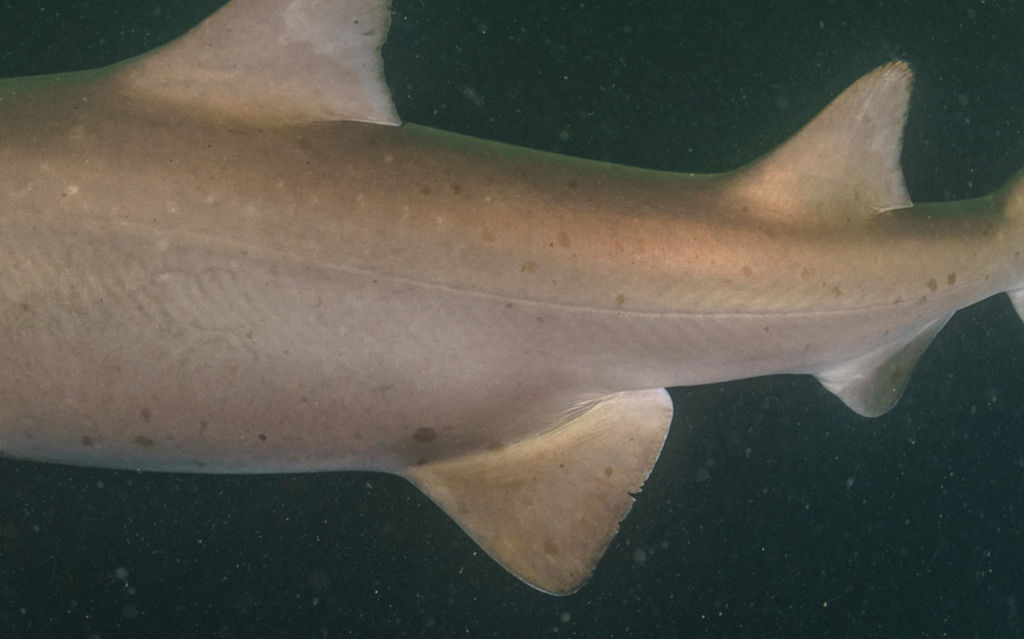 5480b831-6213-4e09-a63c-3443f8ff8329