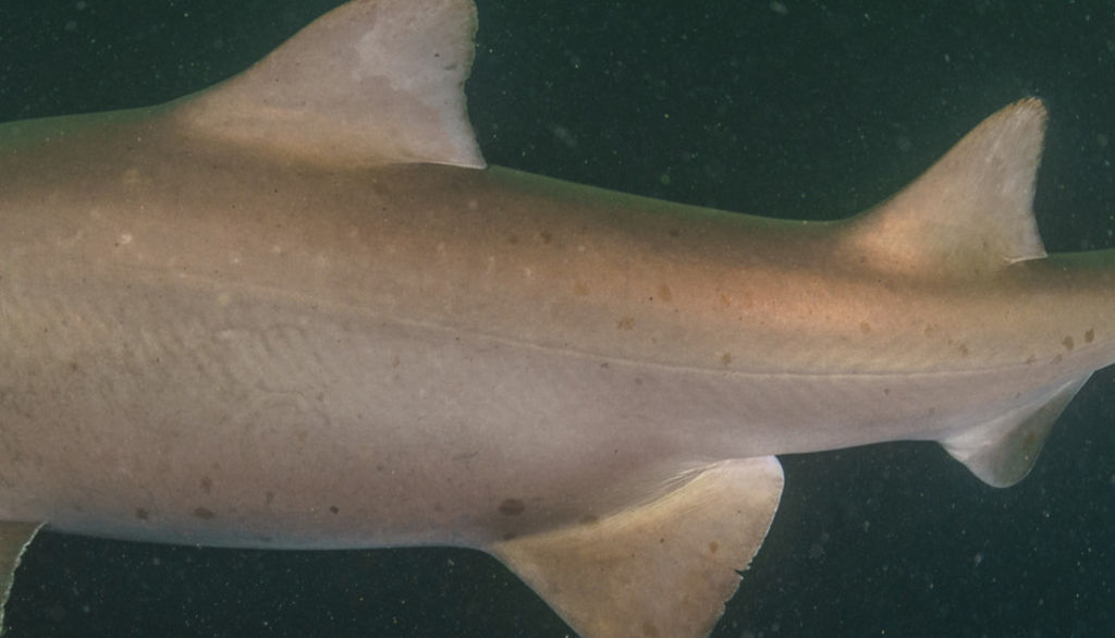 5480b831-6213-4e09-a63c-3443f8ff8329