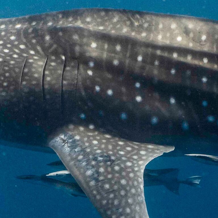 0973216f-56ba-4d97-99f5-bb64f66ddf05