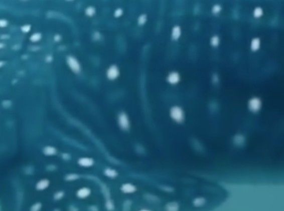 0afb7b23-d164-4552-9d87-ee102f04f19b