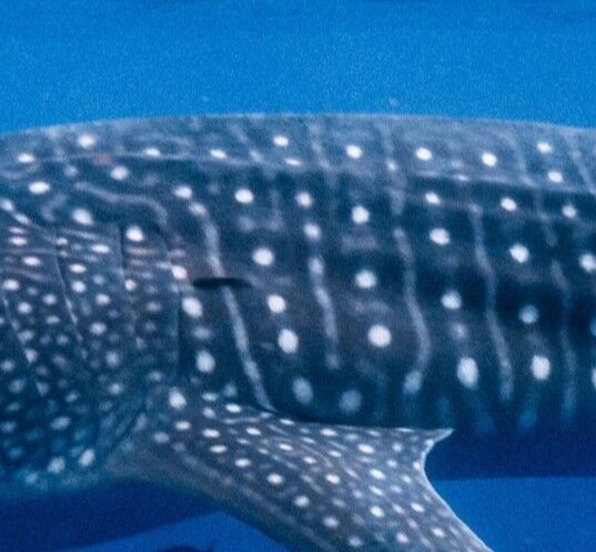 884de3eb-498a-42e8-9584-9dd650dd78e0