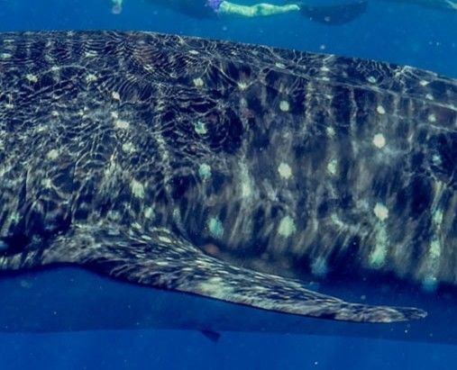 711cdc6a-c40e-4569-840e-3204c6eaff9a