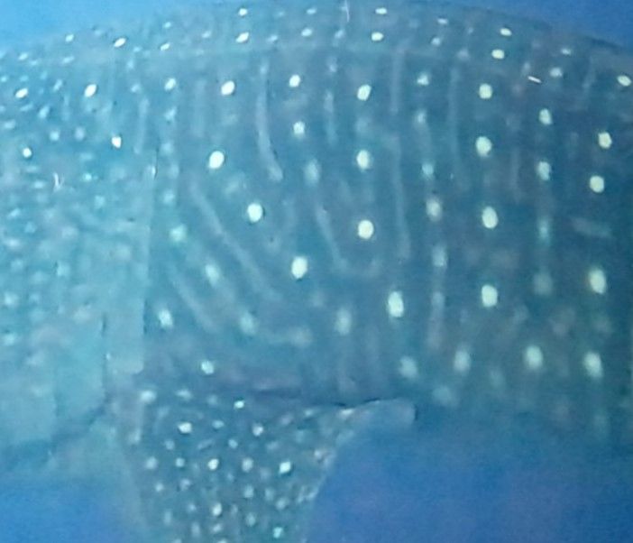 2a38fcba-8949-4e07-a30d-98df0e08346e