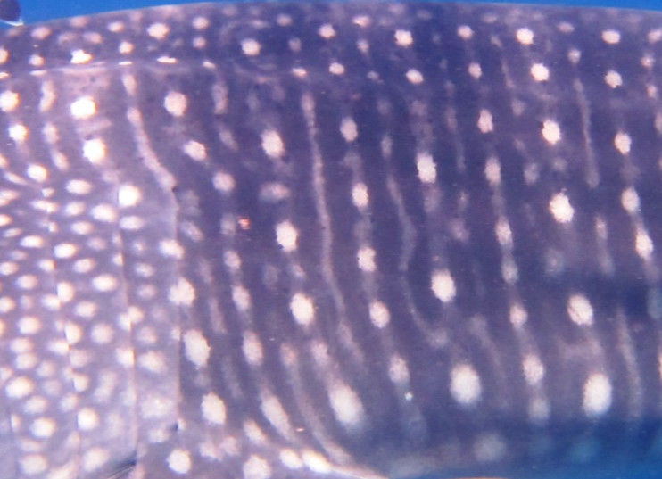 cfad22ac-7605-4511-94e6-b91f761242a2