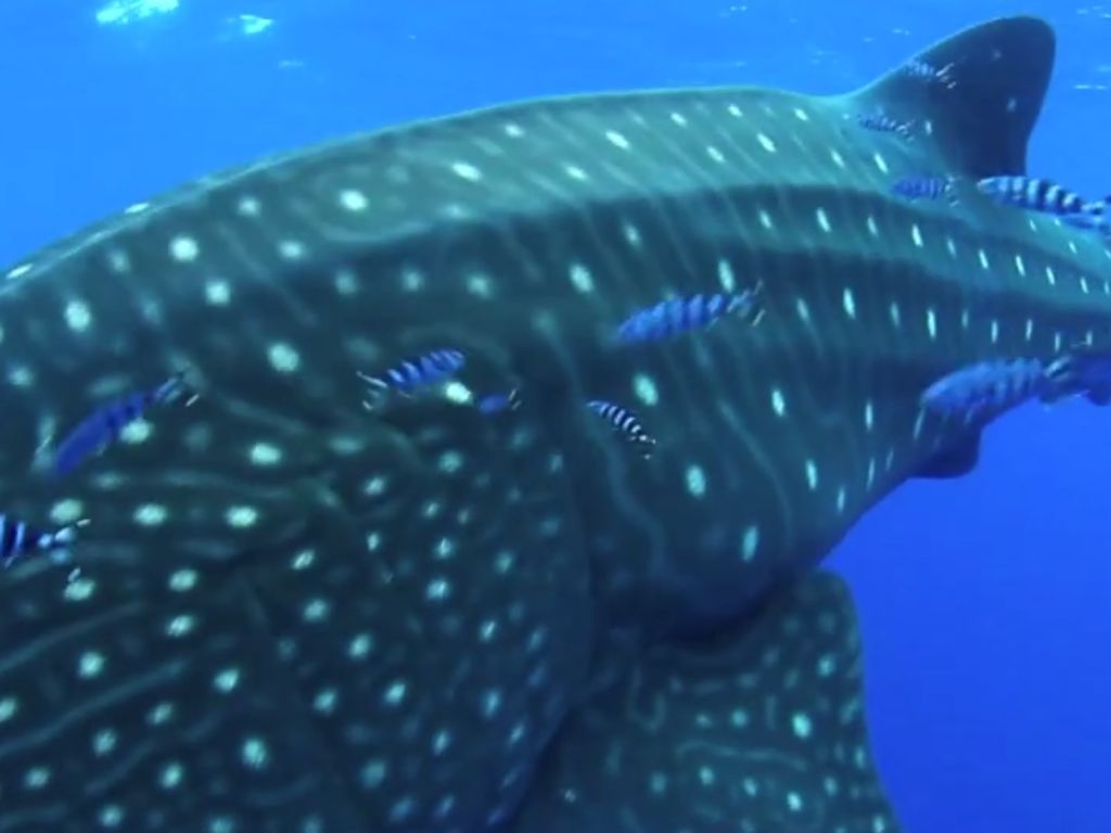 284dc510-f18b-48d2-99ac-472820cca9f3