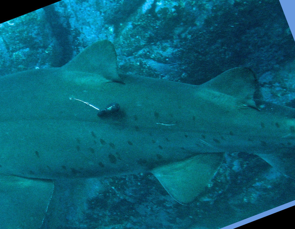 8bf1df1c-2c14-476d-9bac-c8cf08ad18f7