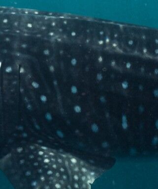 7c8896d6-6902-4674-8b60-31eeae6d0b0e