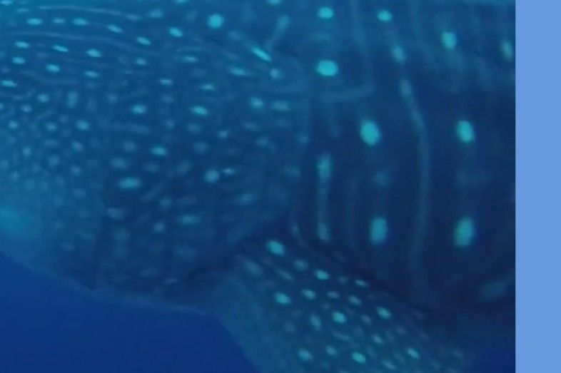 e02eaada-692b-4034-bd3b-f6cf056f6e1e